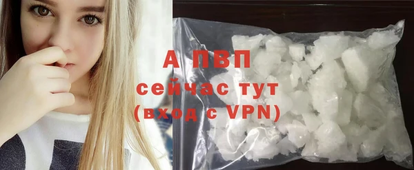 амф Надым