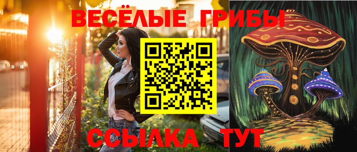 Псилоцибиновые грибы мухоморы Подольск