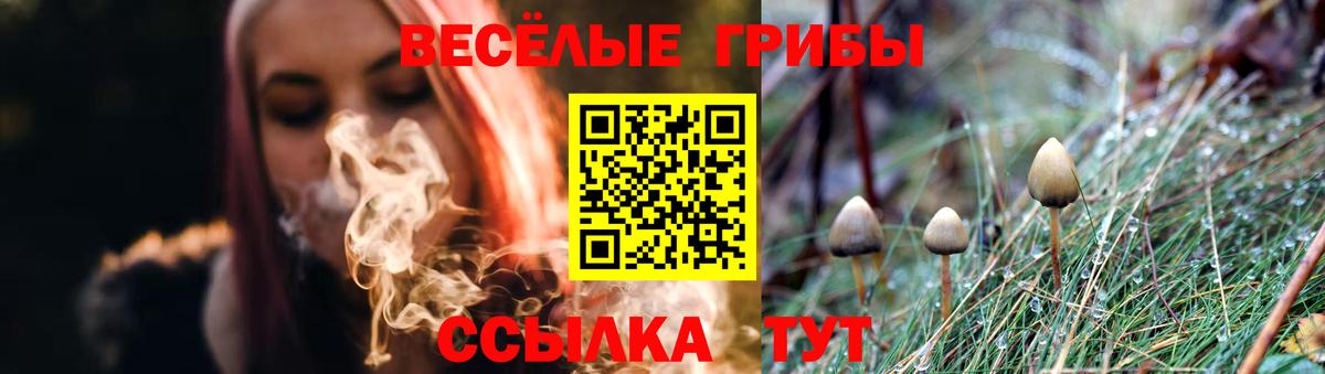 Галлюциногенные грибы мухоморы  Вход с VPN  Подольск 